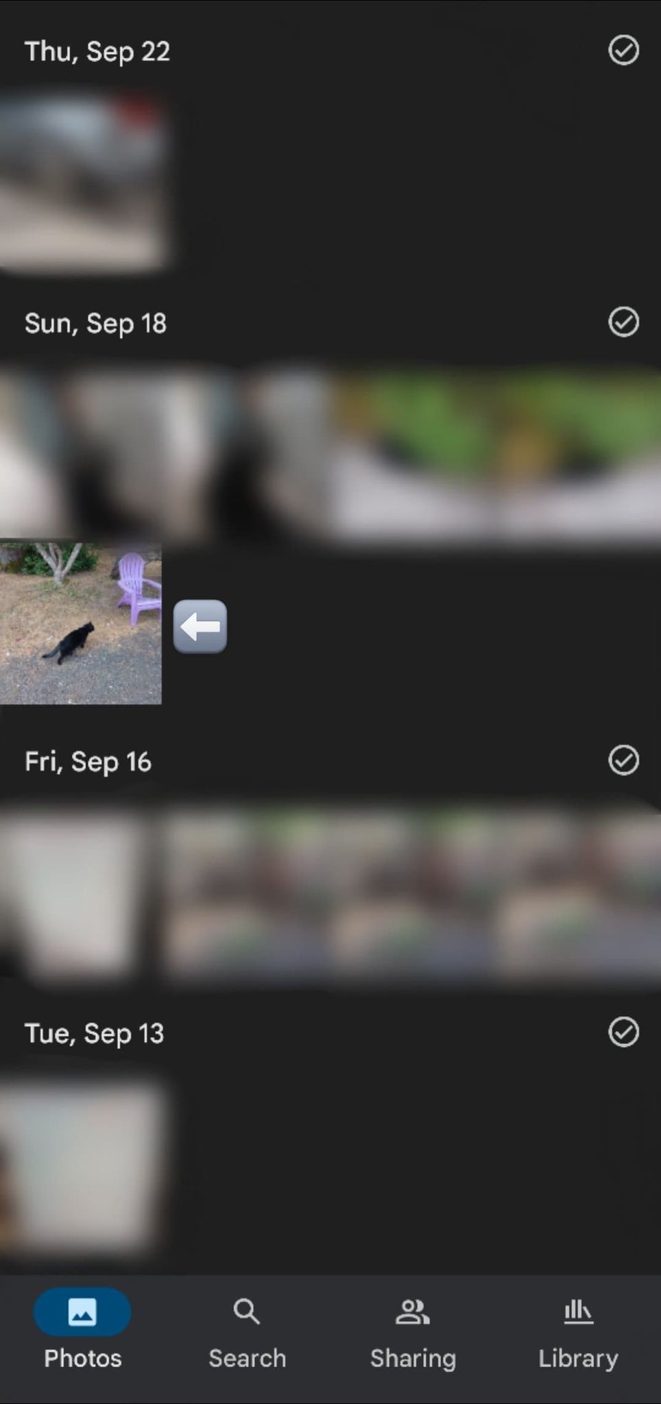 A imagem mostra a tela do Google Fotos com uma seta apontando para a foto de um gato preto.