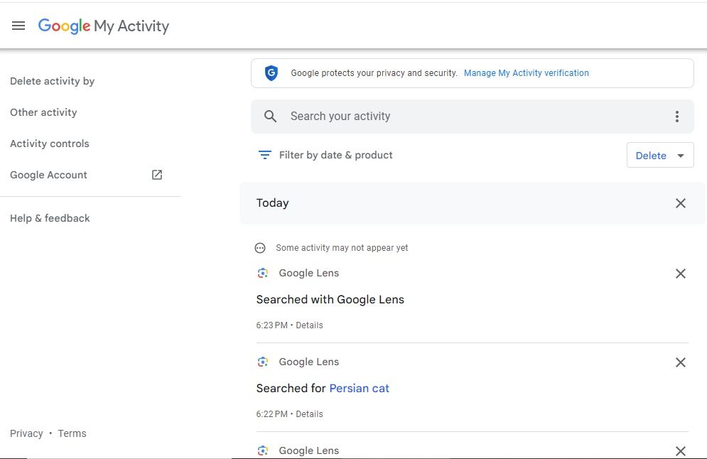 Captura de tela mostrando a página Minha atividade do Google 