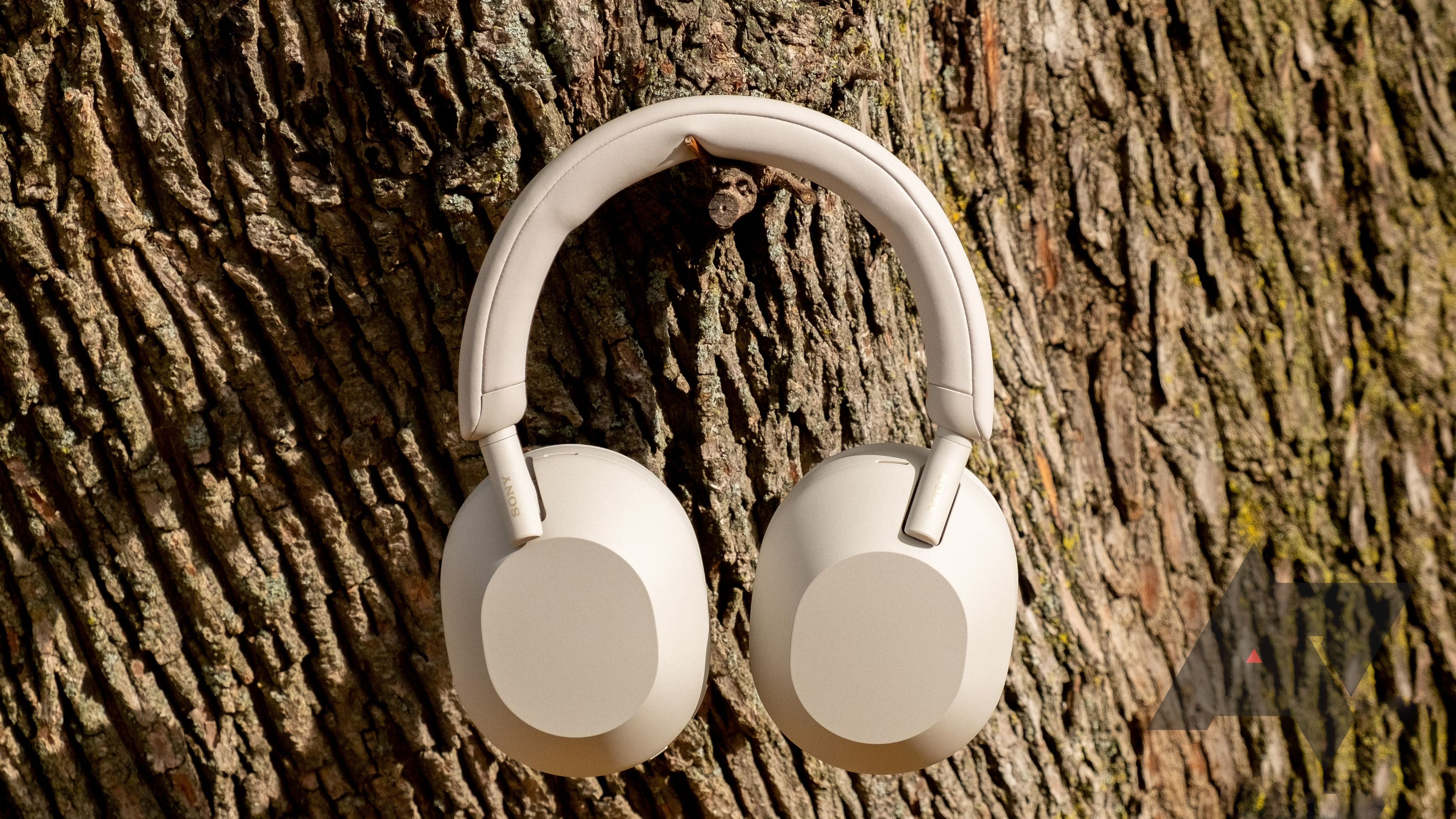 Fones de ouvido Sony WH-1000XM5 pendurados na árvore