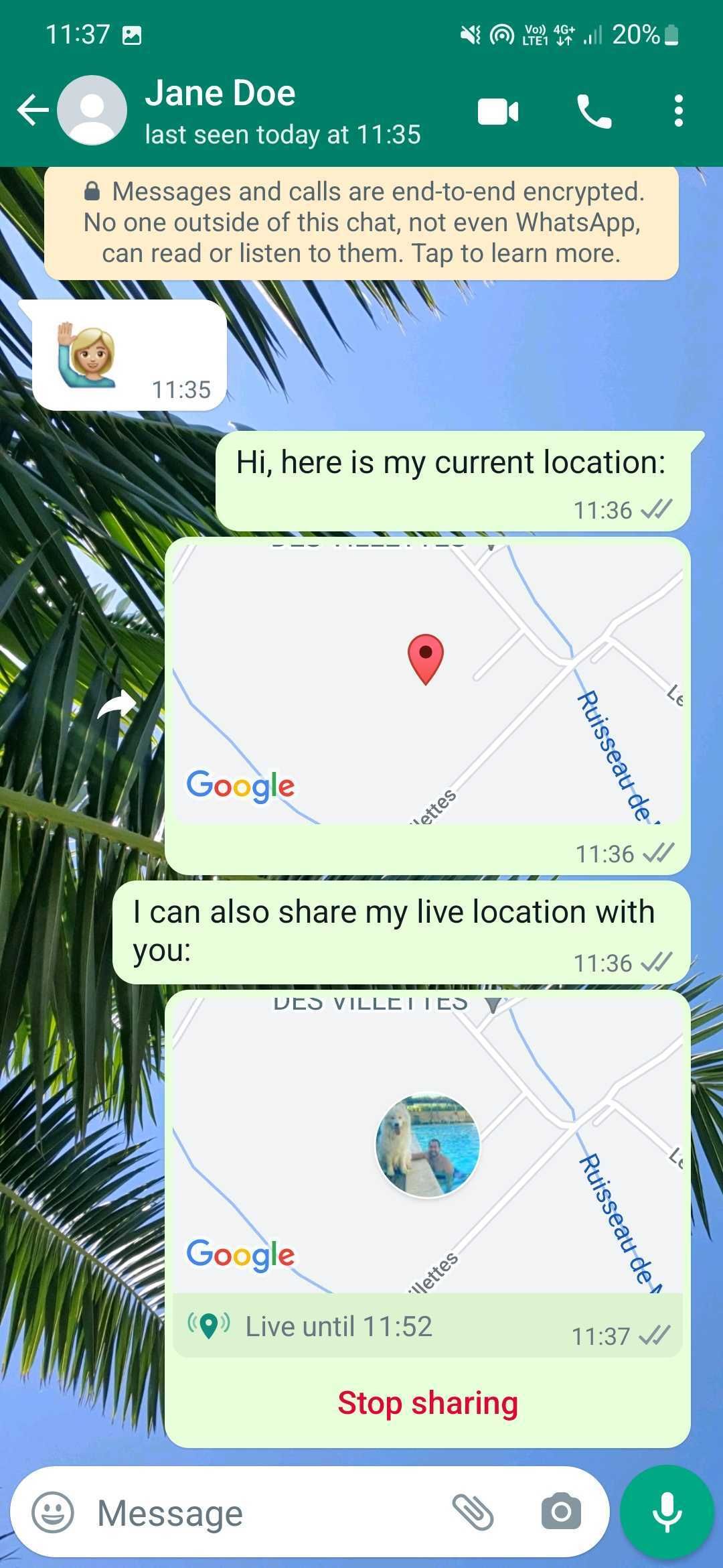 Captura de tela de uma conversa no Whatsapp com compartilhamento de localização