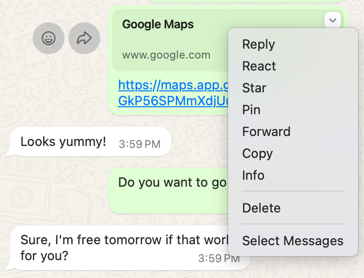 Captura de tela do aplicativo WhatsApp no ​​desktop mostrando as opções de mensagens