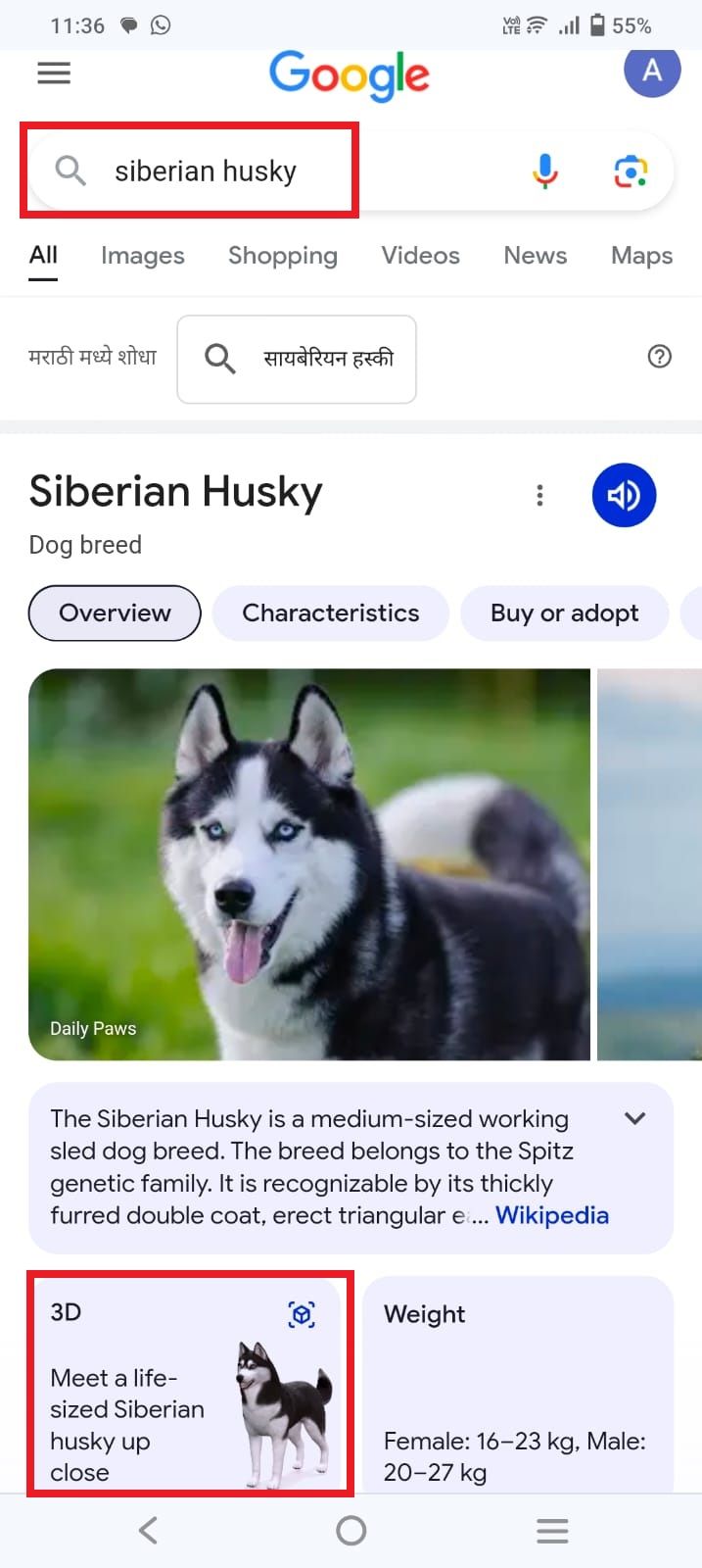 Captura de tela destacando a seção 'Conheça de perto um husky siberiano em tamanho real'
