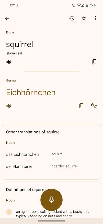 resultado da tradução de voz para texto do aplicativo google tradutor