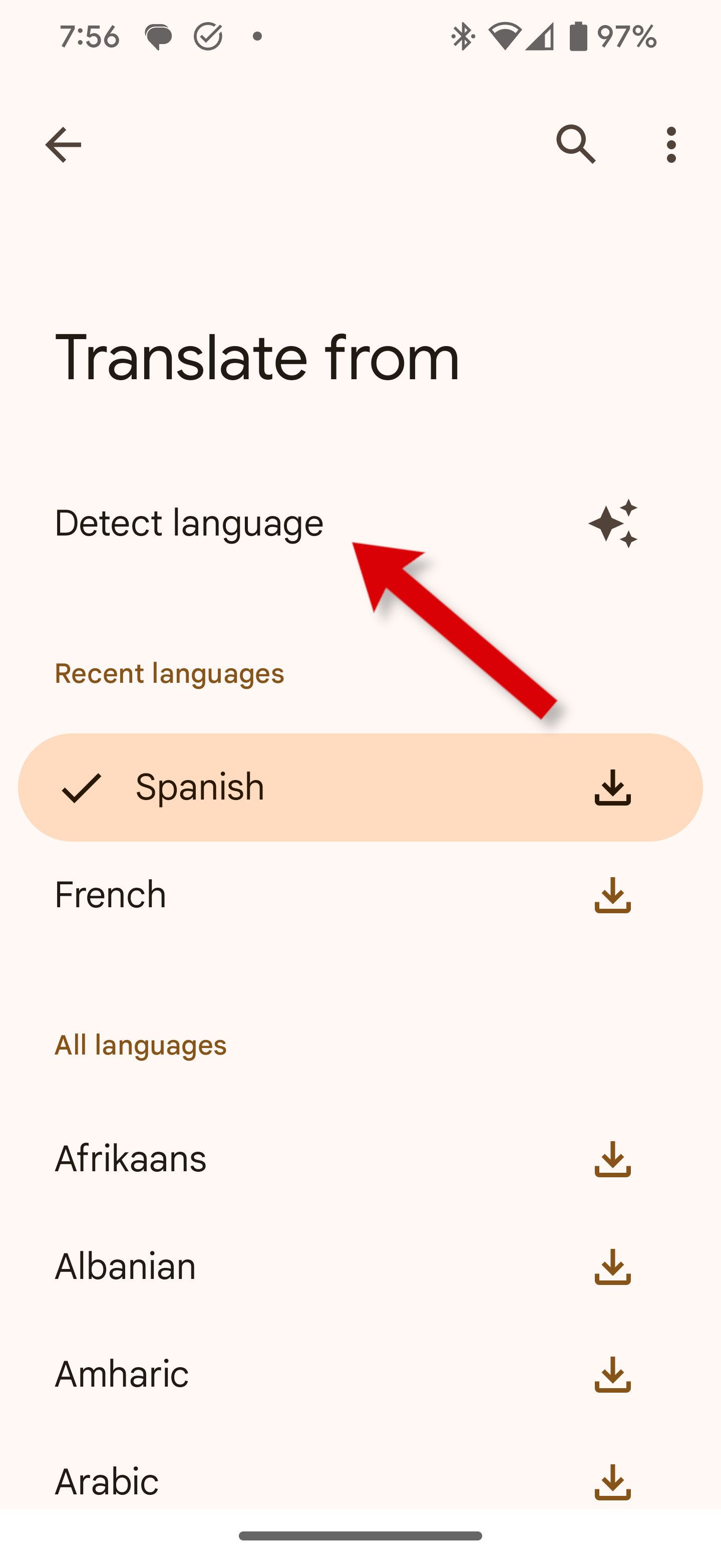Uma captura de tela do aplicativo Google Tradutor mostrando como selecionar a opção Detectar idioma