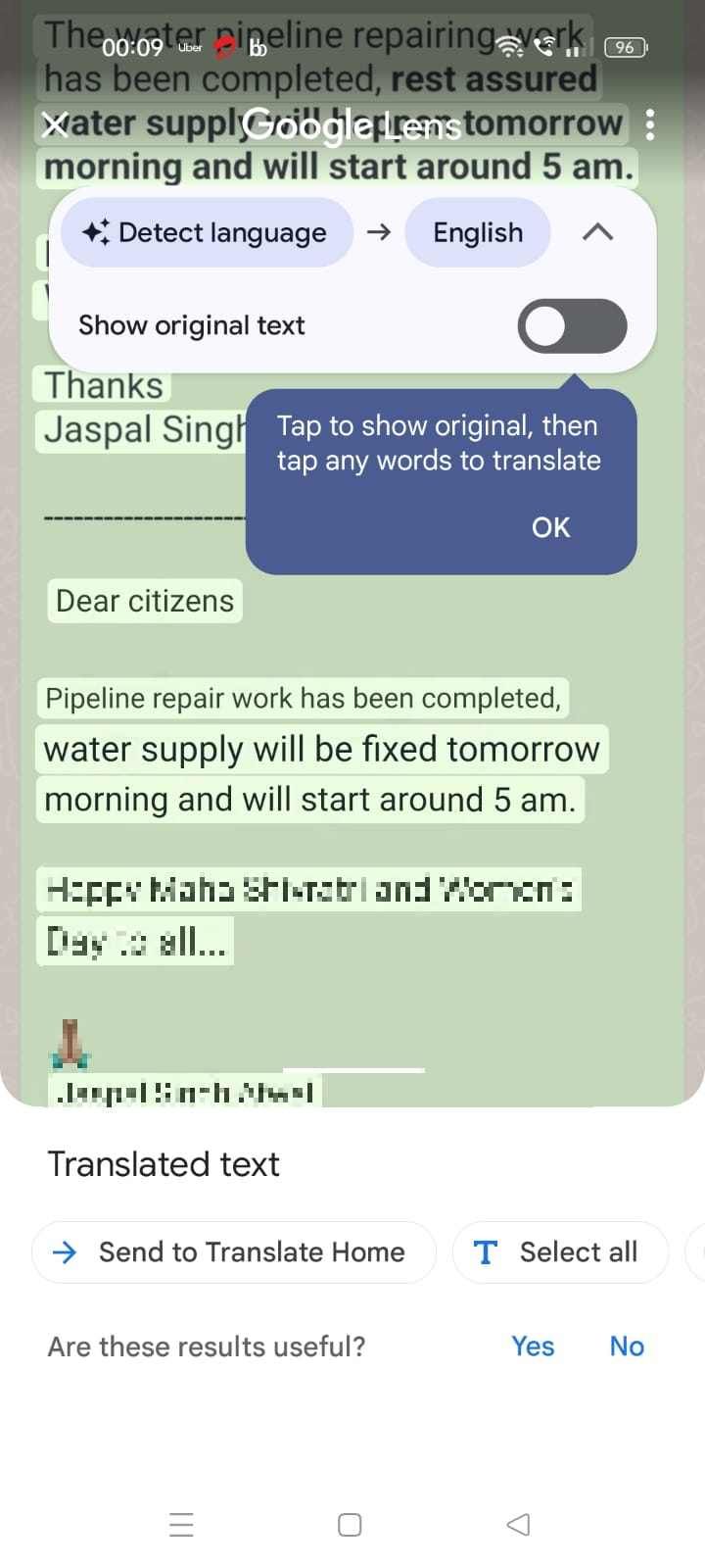 Captura de tela mostrando o texto traduzido no app Google Tradutor