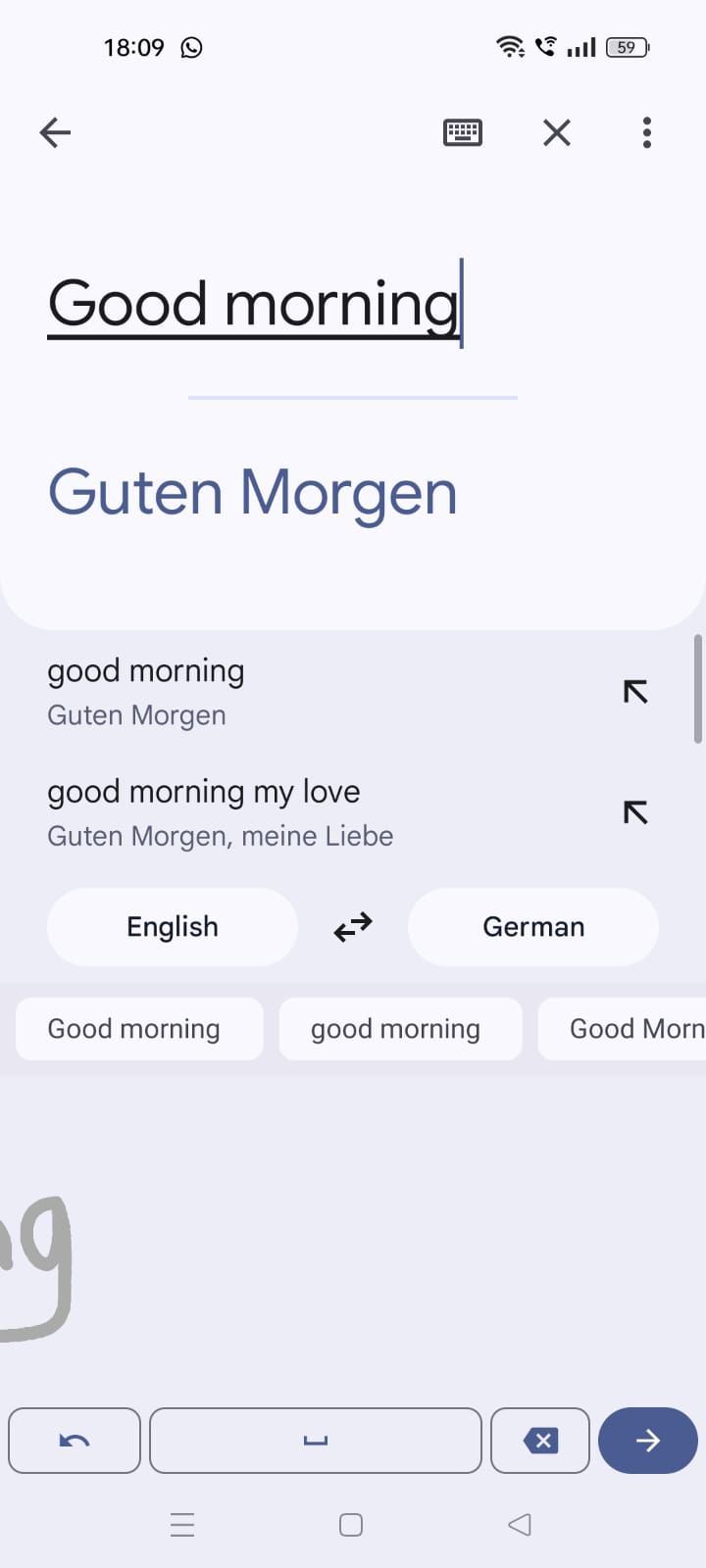 Captura de tela mostrando o texto traduzido no app Google Tradutor
