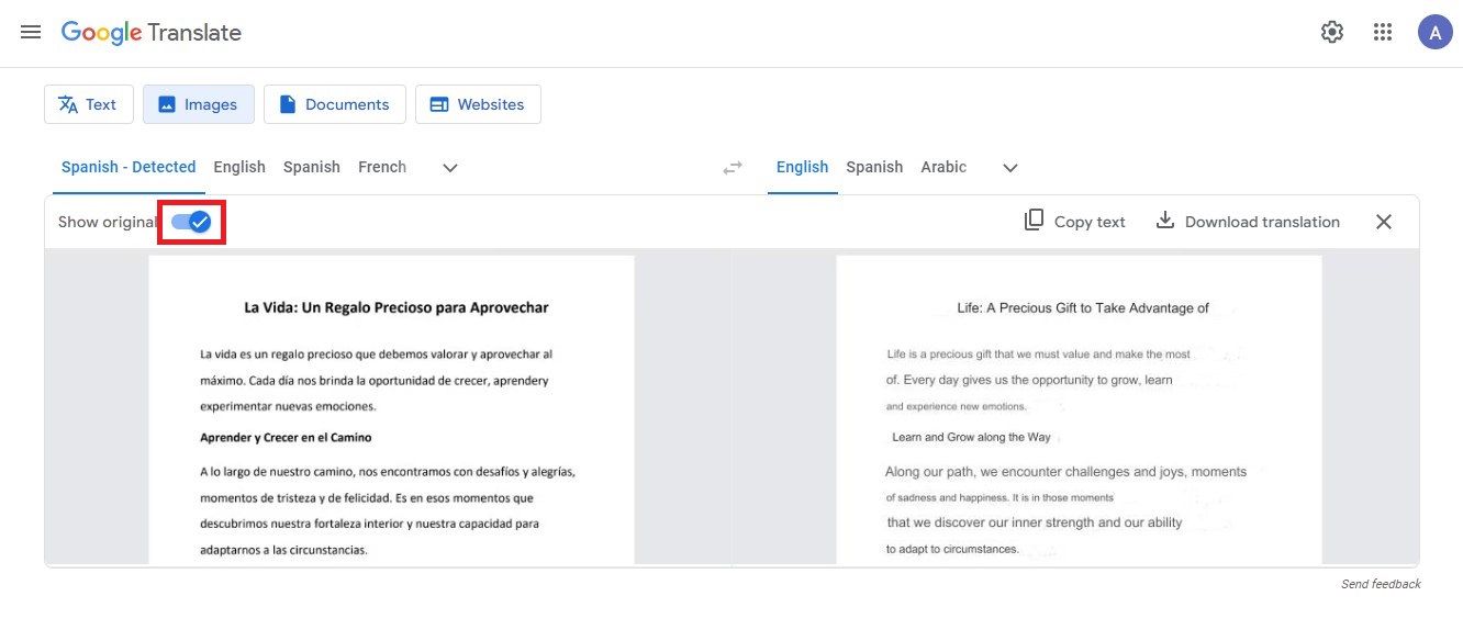Captura de tela destacando a opção de ativação para 'Mostrar original' no Google Tradutor