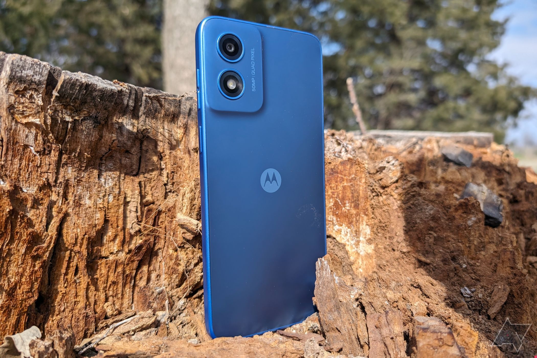 Parte traseira do Motorola Moto G Play (2024) sentado em um toco de árvore