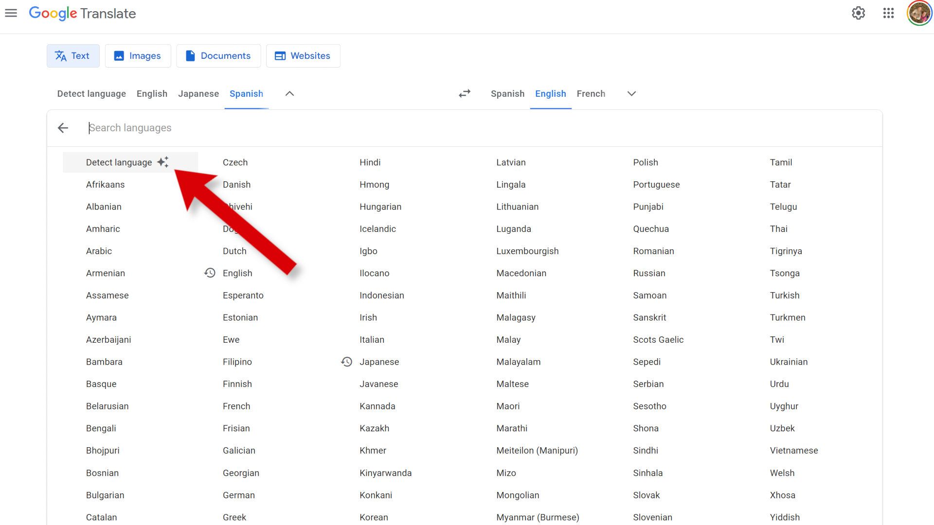 Uma captura de tela mostrando onde encontrar a opção Detectar idioma do Google Tradutor