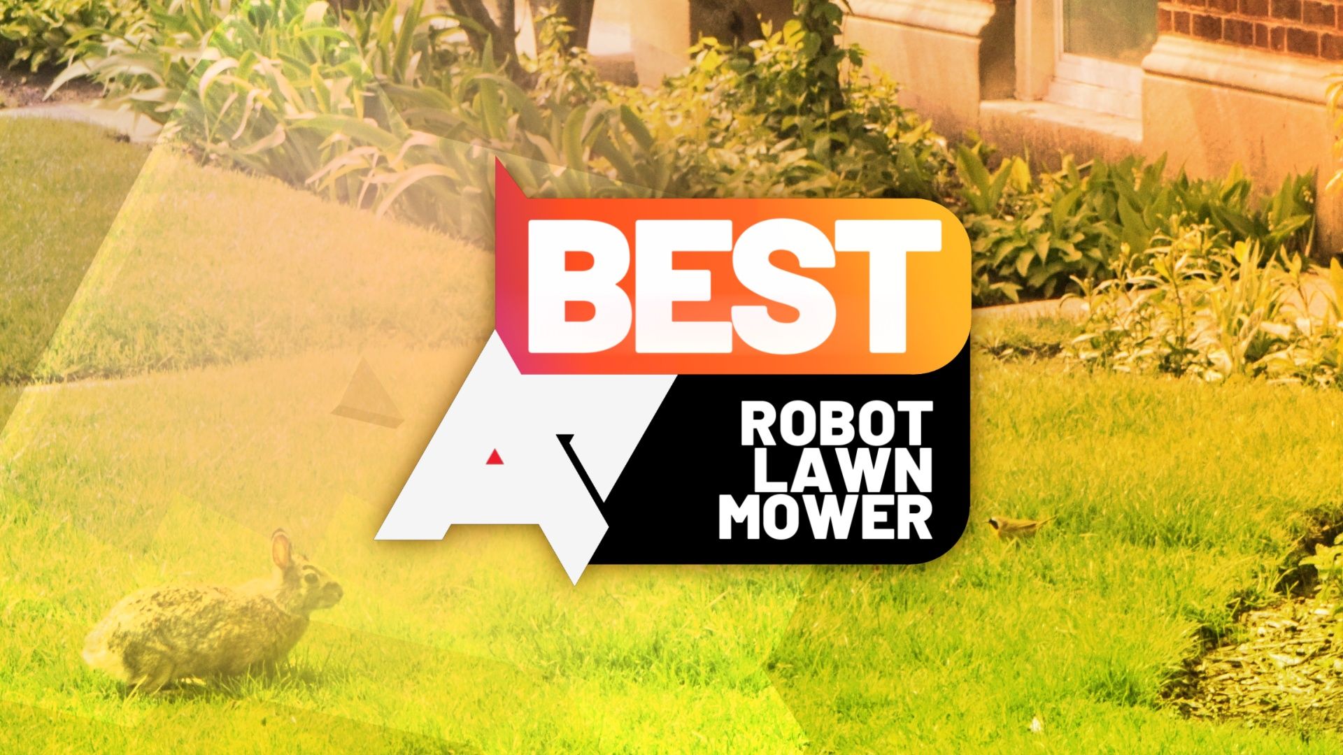 Uma foto de um gramado com o logotipo 'AP Best Robot Lawnmower' no topo