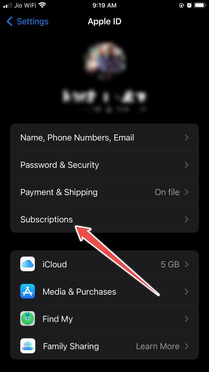 Captura de tela mostrando o menu de assinaturas do iOS nas configurações