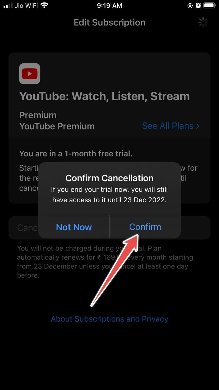 Captura de tela mostrando a janela para cancelar o YouTube Premium no iOS