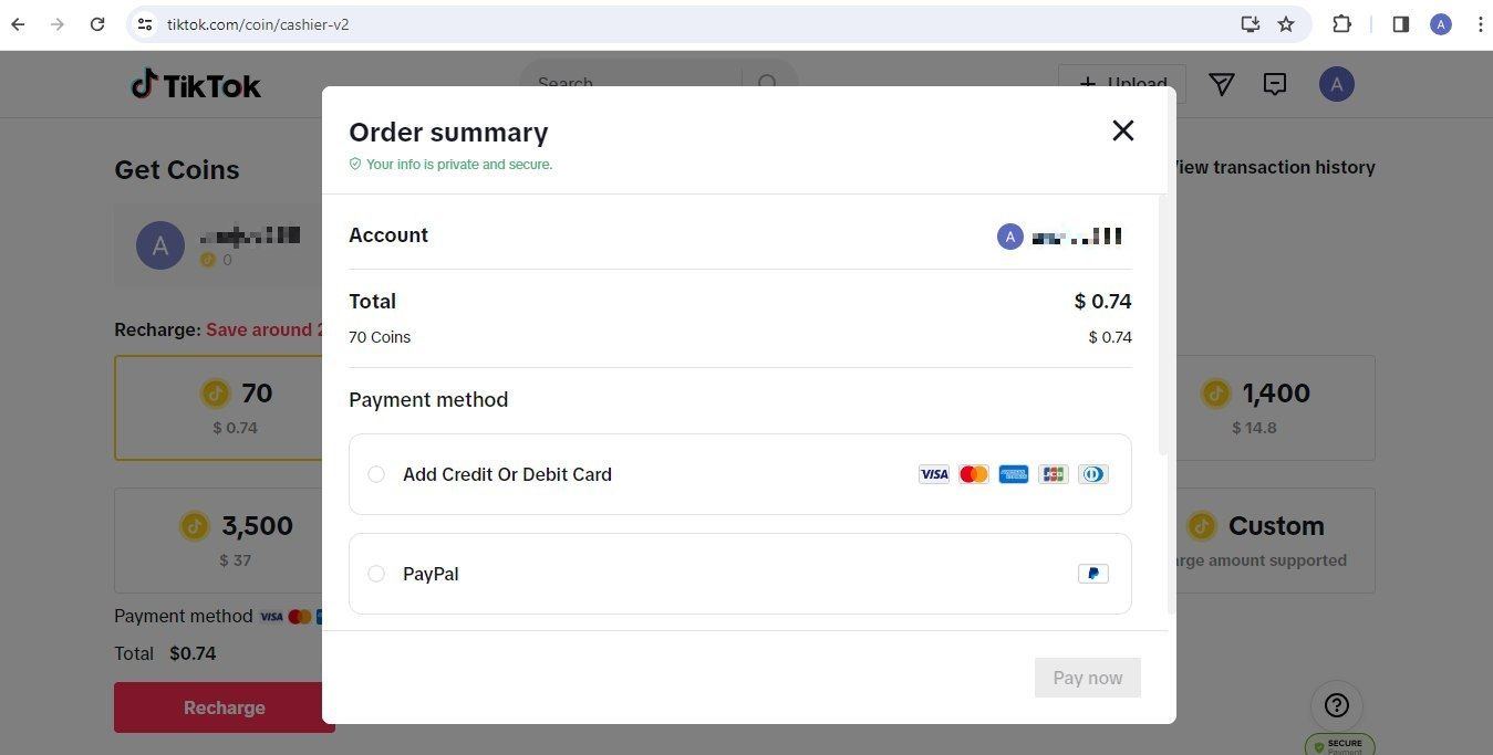 Captura de tela dos métodos de pagamento no site TikTok