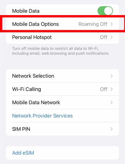 Menu de dados móveis no iOS com "Opções de dados móveis" selecionado.