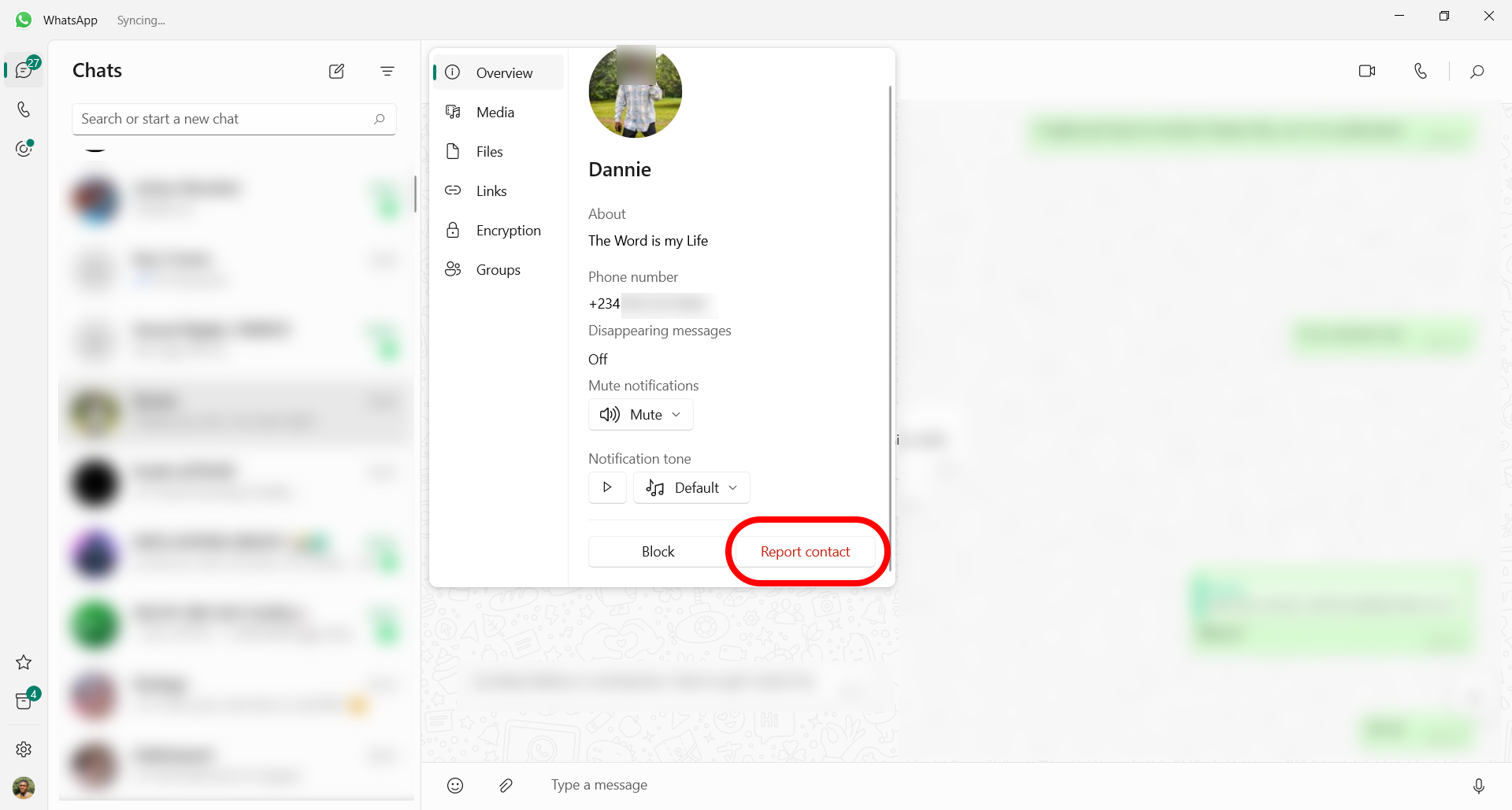 Denunciar um contato no menu de visão geral da área de trabalho do WhatsApp