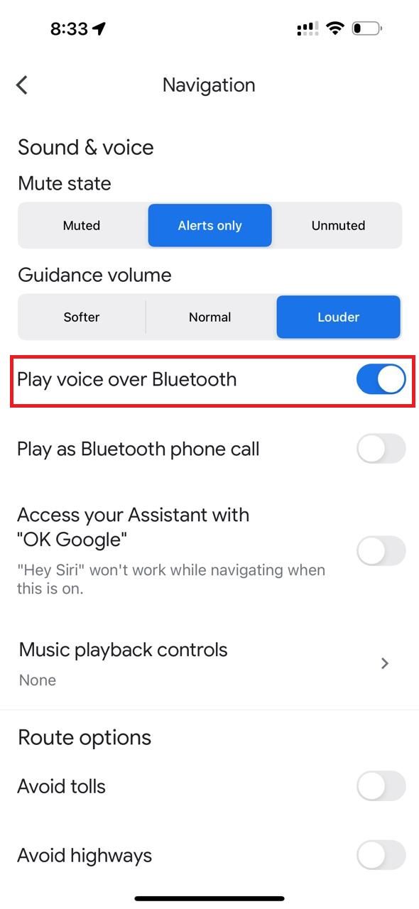 Captura de tela destacando Reproduzir voz por Bluetooth no Google Maps em um iPhone