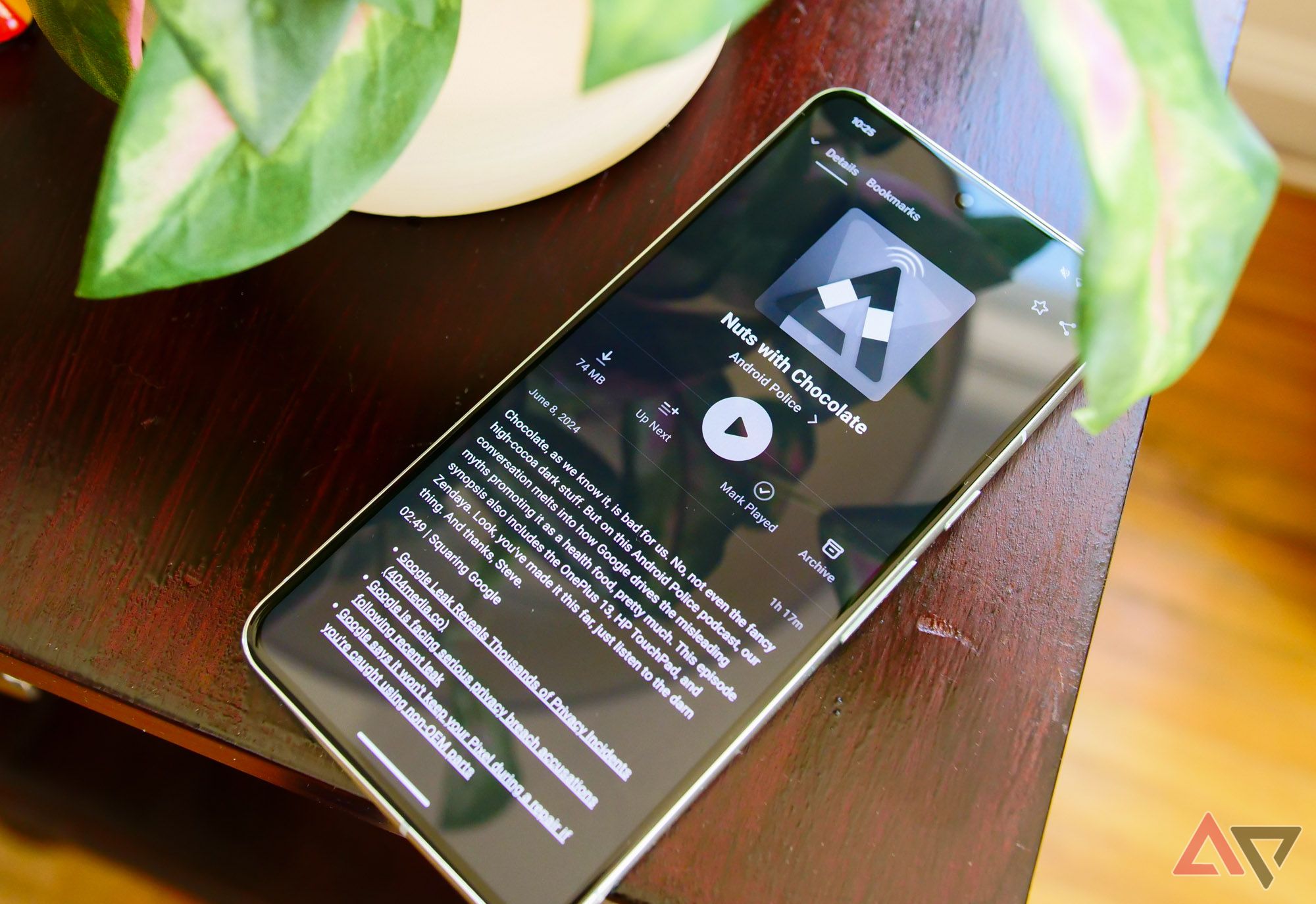 Um Pixel 8 Pro embaixo de uma planta com um episódio do podcast Android Police mostrado em tons de cinza.