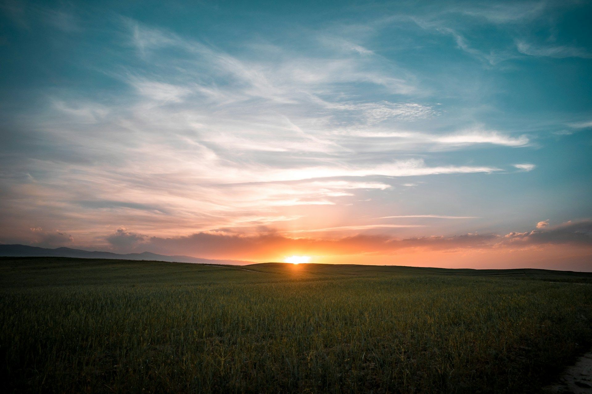 Uma fotografia de um sol nascente com um campo gramado em primeiro plano