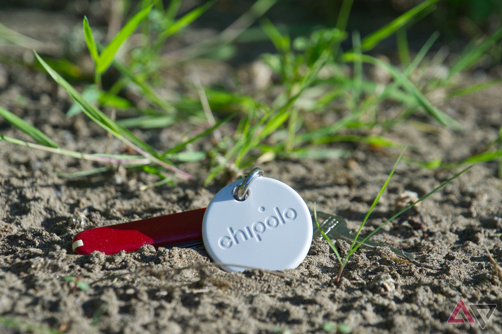 Etiqueta Chipolo em um chaveiro apoiado na areia com folhas de grama ao fundo