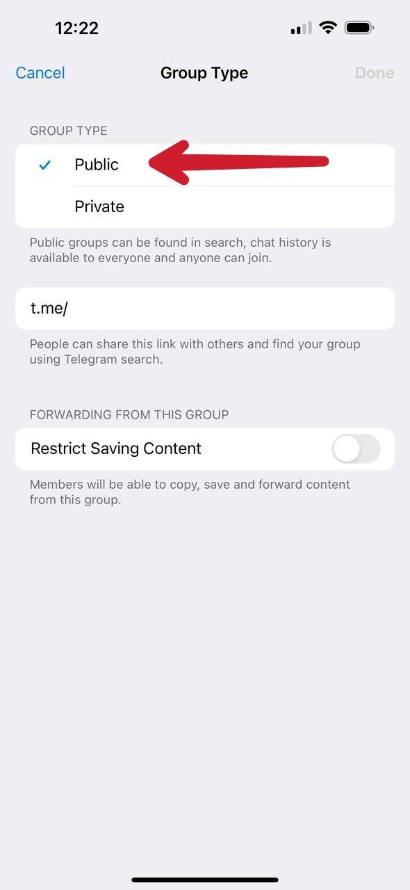 Captura de tela mostrando a opção de grupo público do Telegram iOS