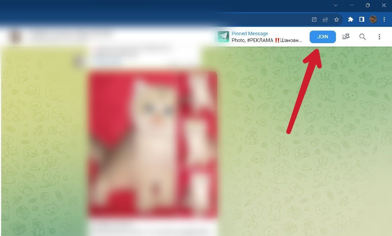 Captura de tela mostrando o botão de ingresso em novo grupo na área de trabalho do Telegram