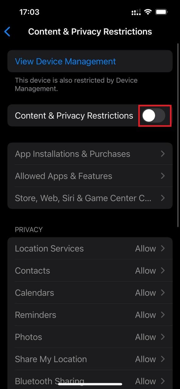 Captura de tela destacando a alternância de restrições de conteúdo e privacidade nas configurações do iOS
