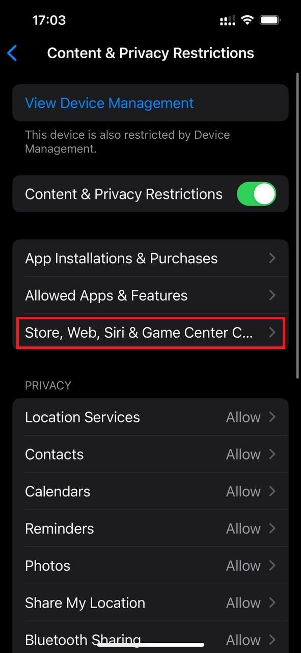 Captura de tela destacando a opção Loja, Web, Siri nas configurações do iOS