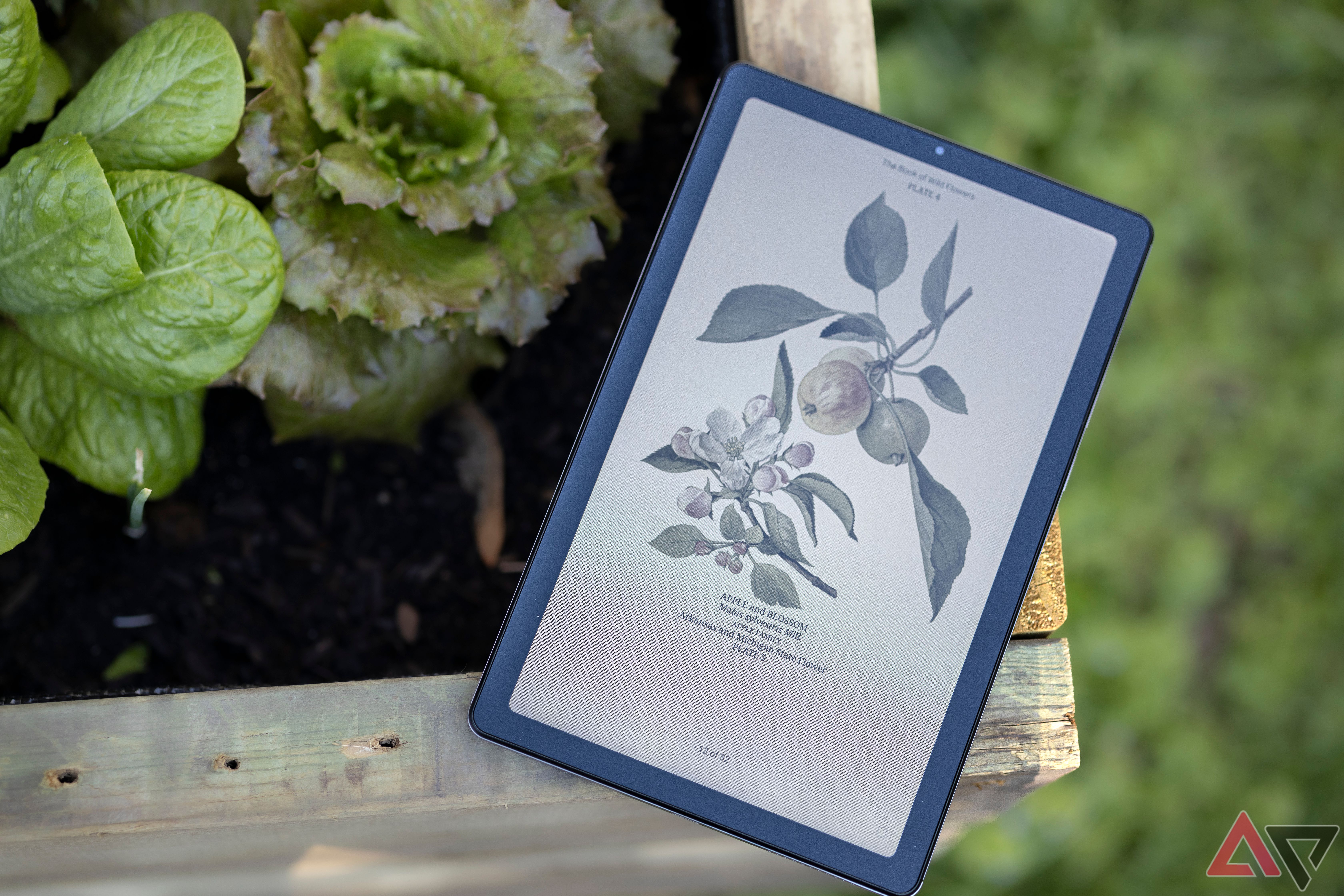 Recanto 9" Lenovo Tablet aberto para reserva de flores silvestres ao lado do jardim