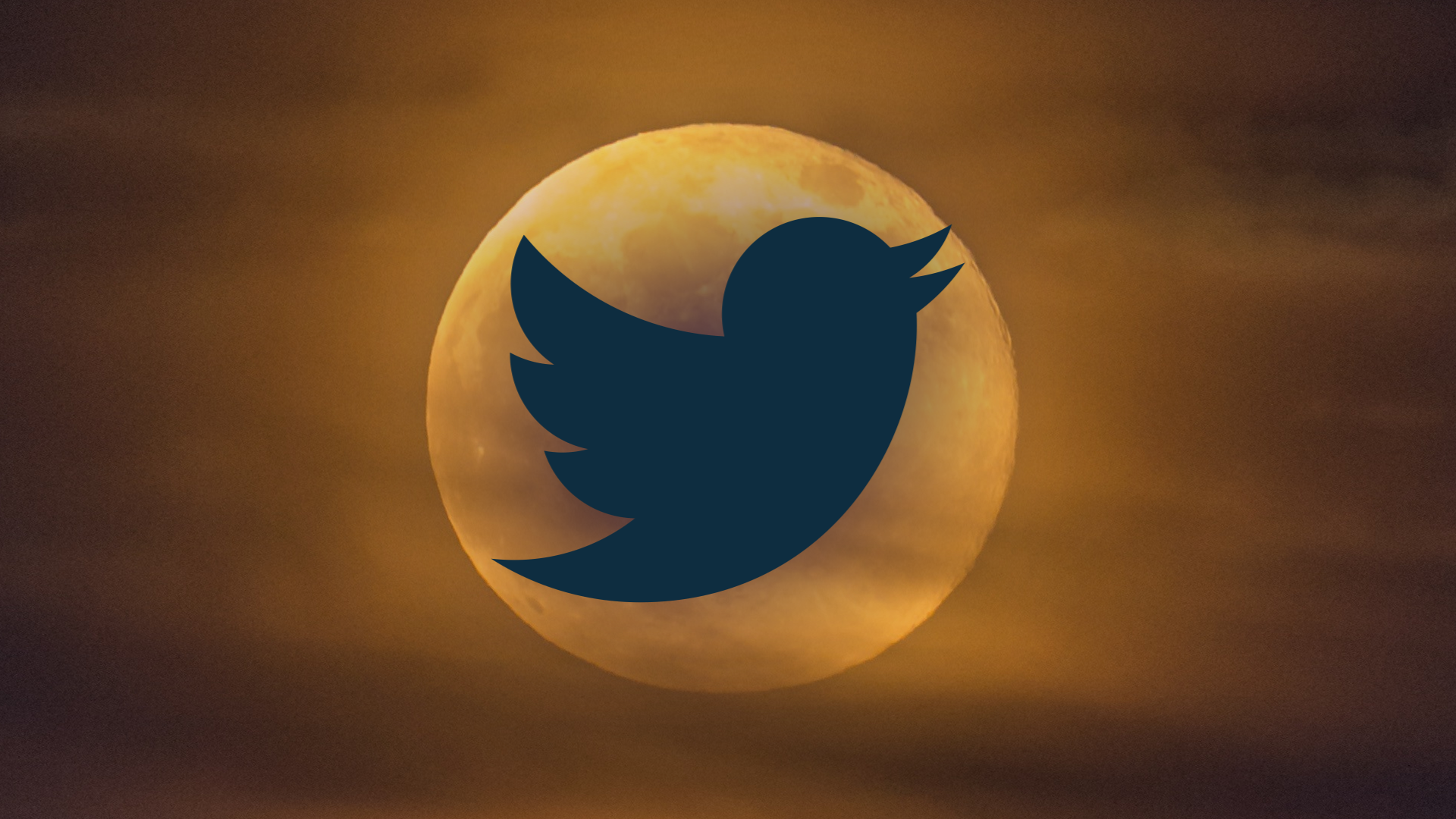 O antigo logotipo do Twitter sobre um fundo marrom simulando o pôr do sol