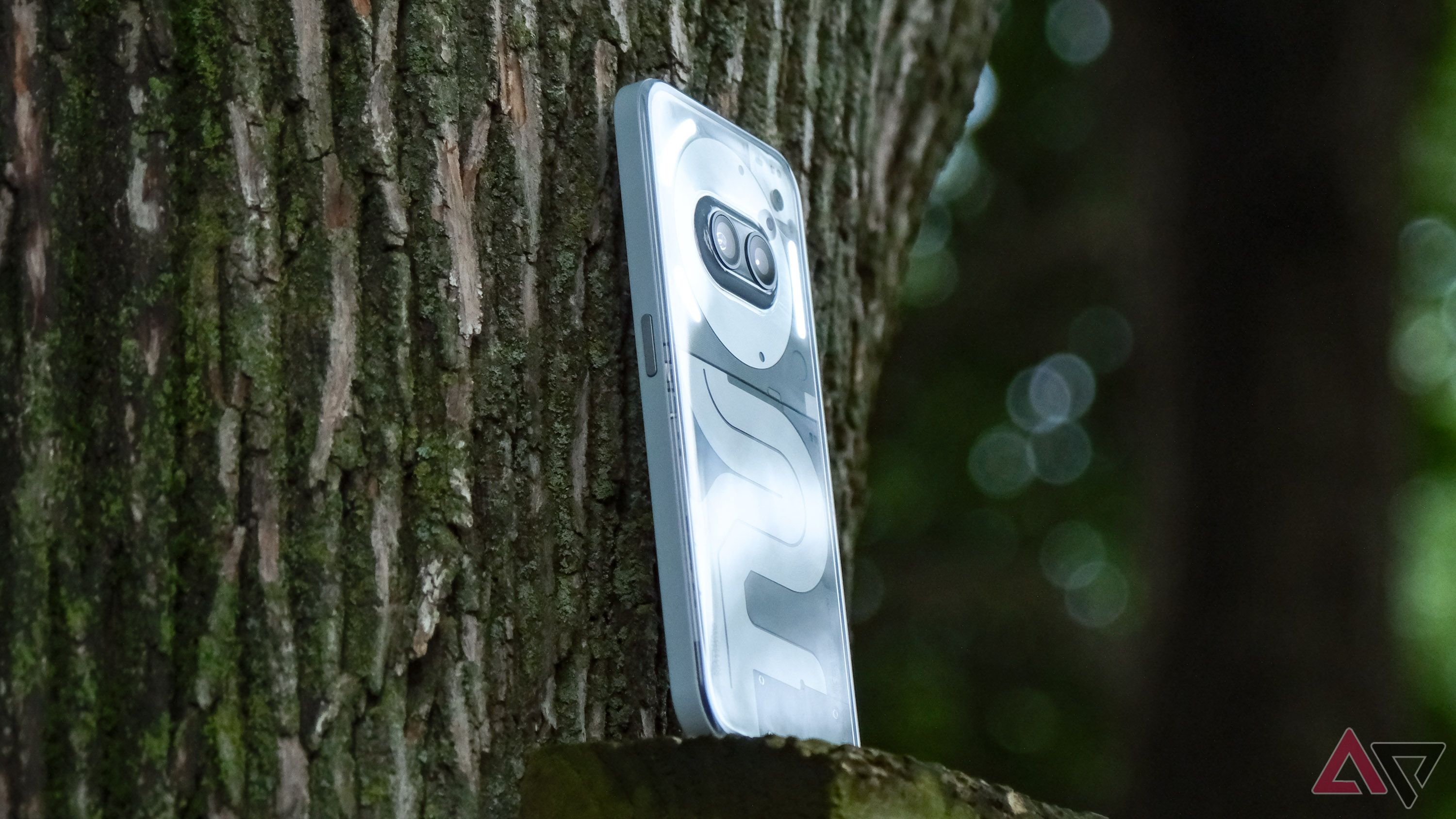 O Nothing Phone 2a Plus sentado em um pedaço de madeira preso a uma árvore