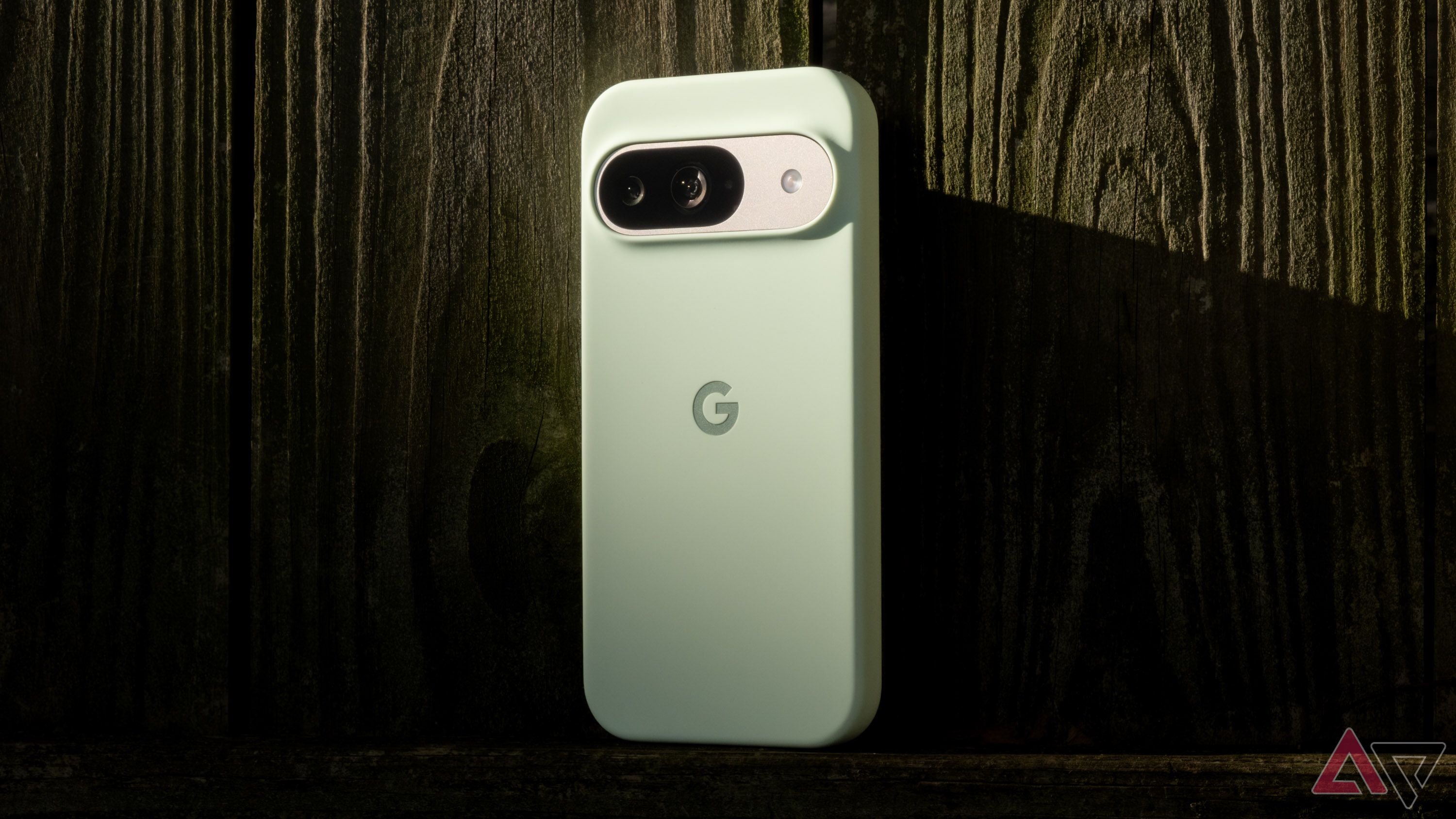 O Pixel 9 do Google em uma capa verde-inverno contra um fundo de madeira.