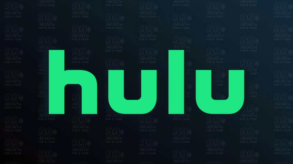 O que é o código de erro do Hulu P-TS207 e como posso corrigi-lo?