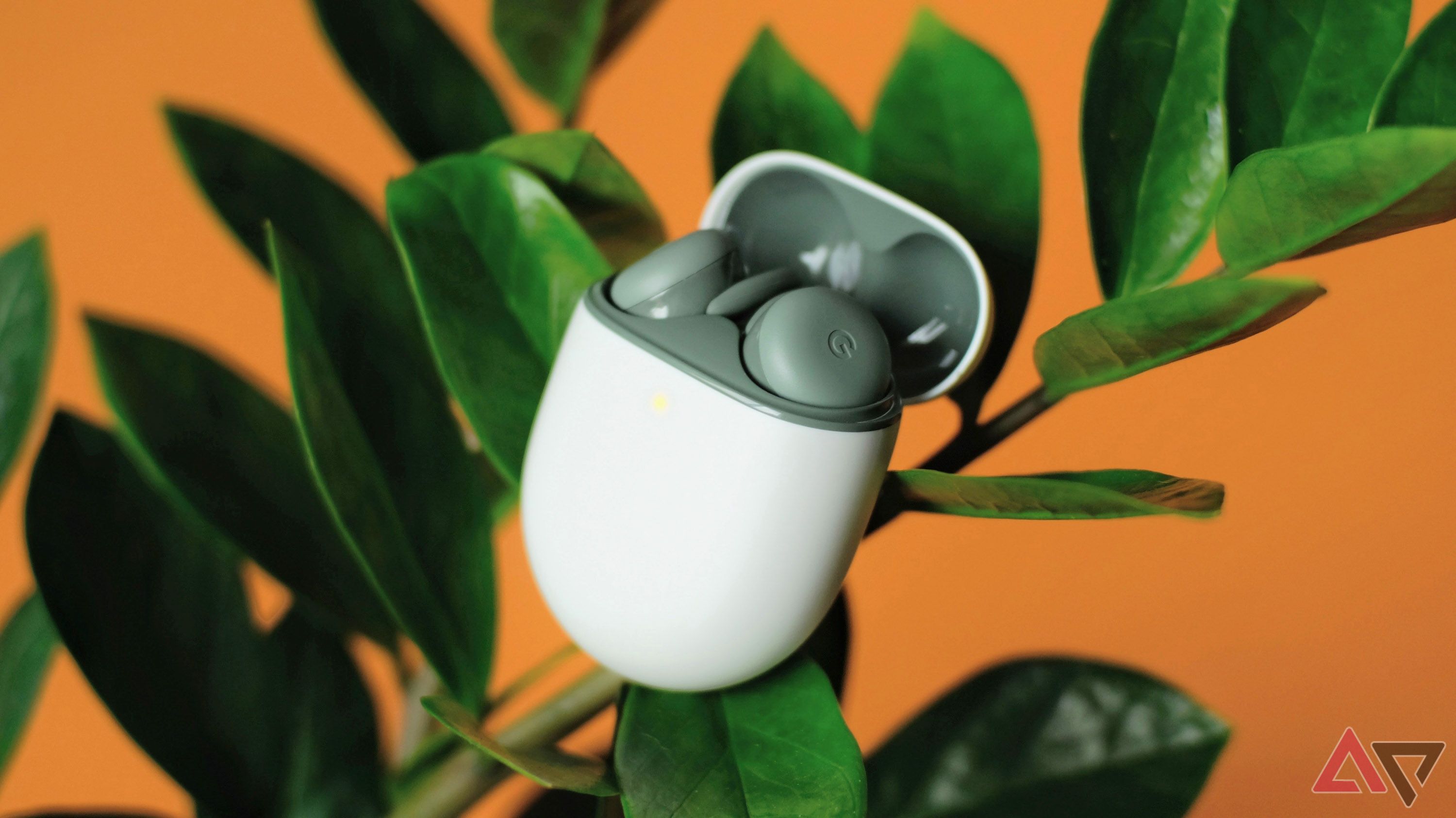 Os Pixel Buds A-Series em seu case, apoiados em uma planta.