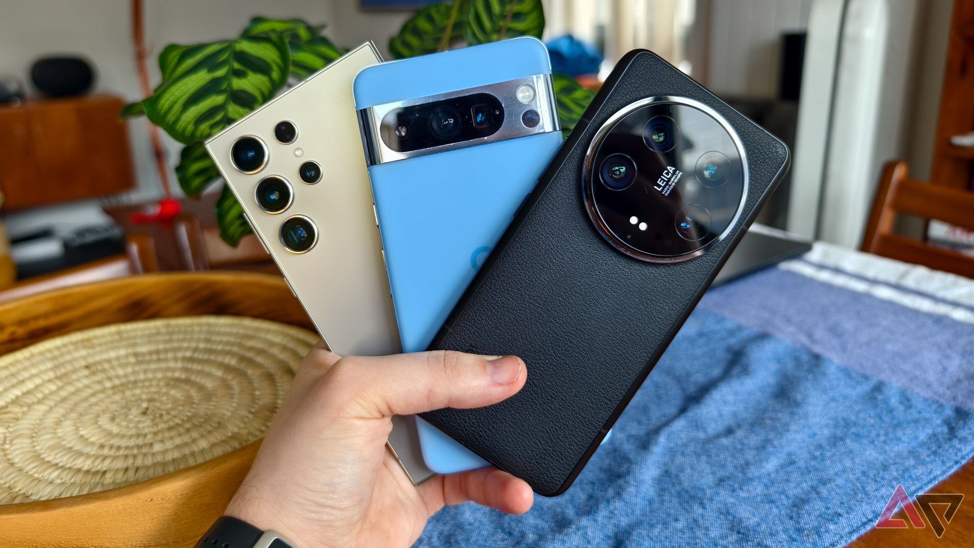 O Xiaomi Ultra, o Google Pixel 8 Pro e o Samsung Galaxy S24 Ultra, todos segurados com uma mão em frente a uma planta e uma toalha de mesa azul