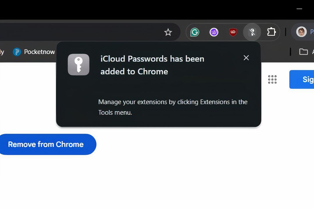 Chrome Web Store com a extensão iCloud Passwords instalada