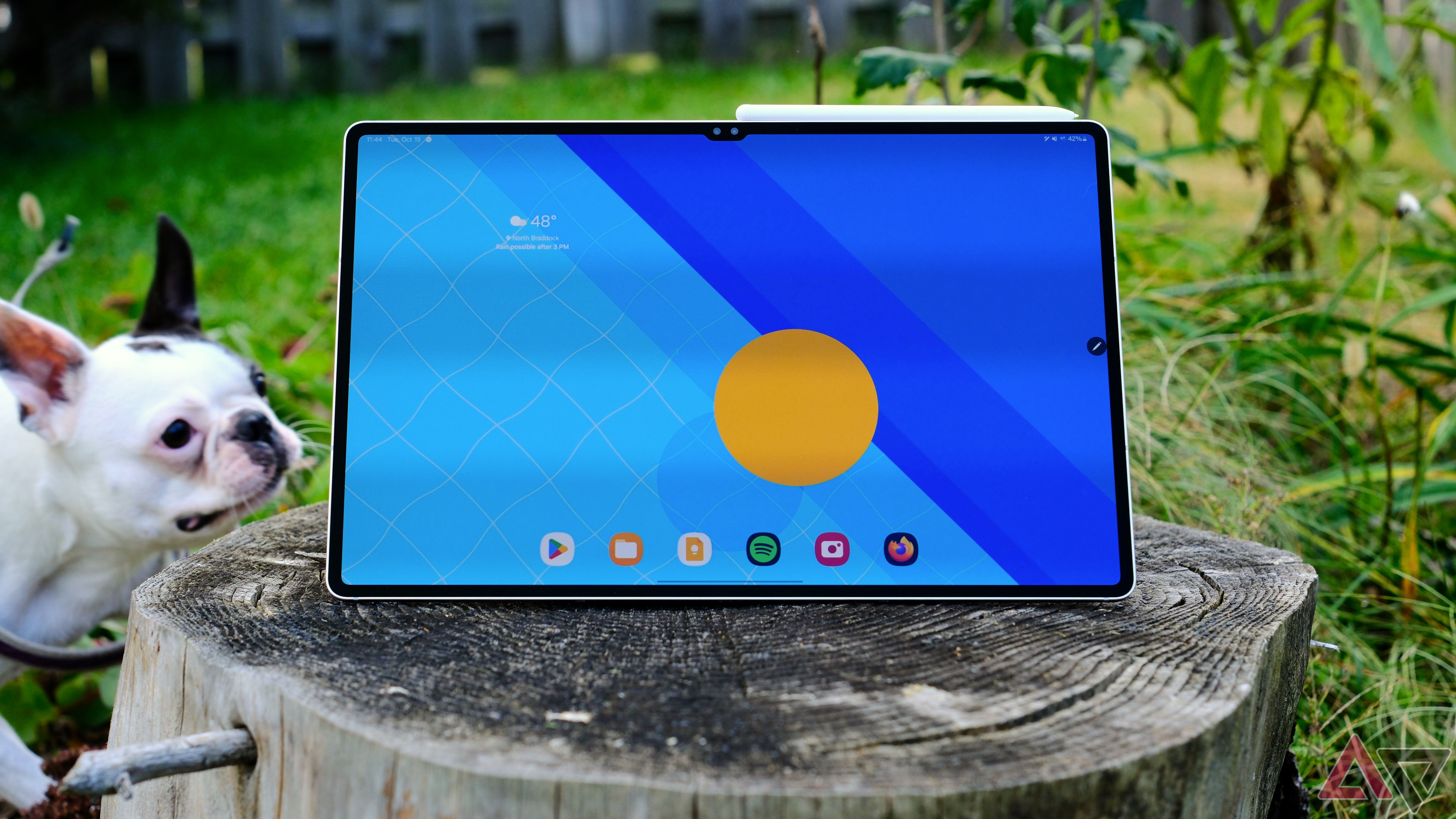 Samsung Galaxy Tab S10 Ultra mostrando tela inicial sentado em um toco com cachorro espionando