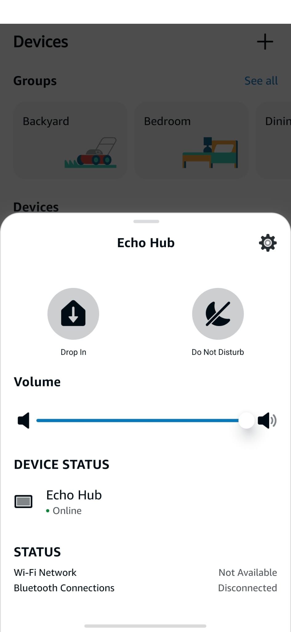 Captura de tela do aplicativo Alexa mostrando as configurações do Echo Hub