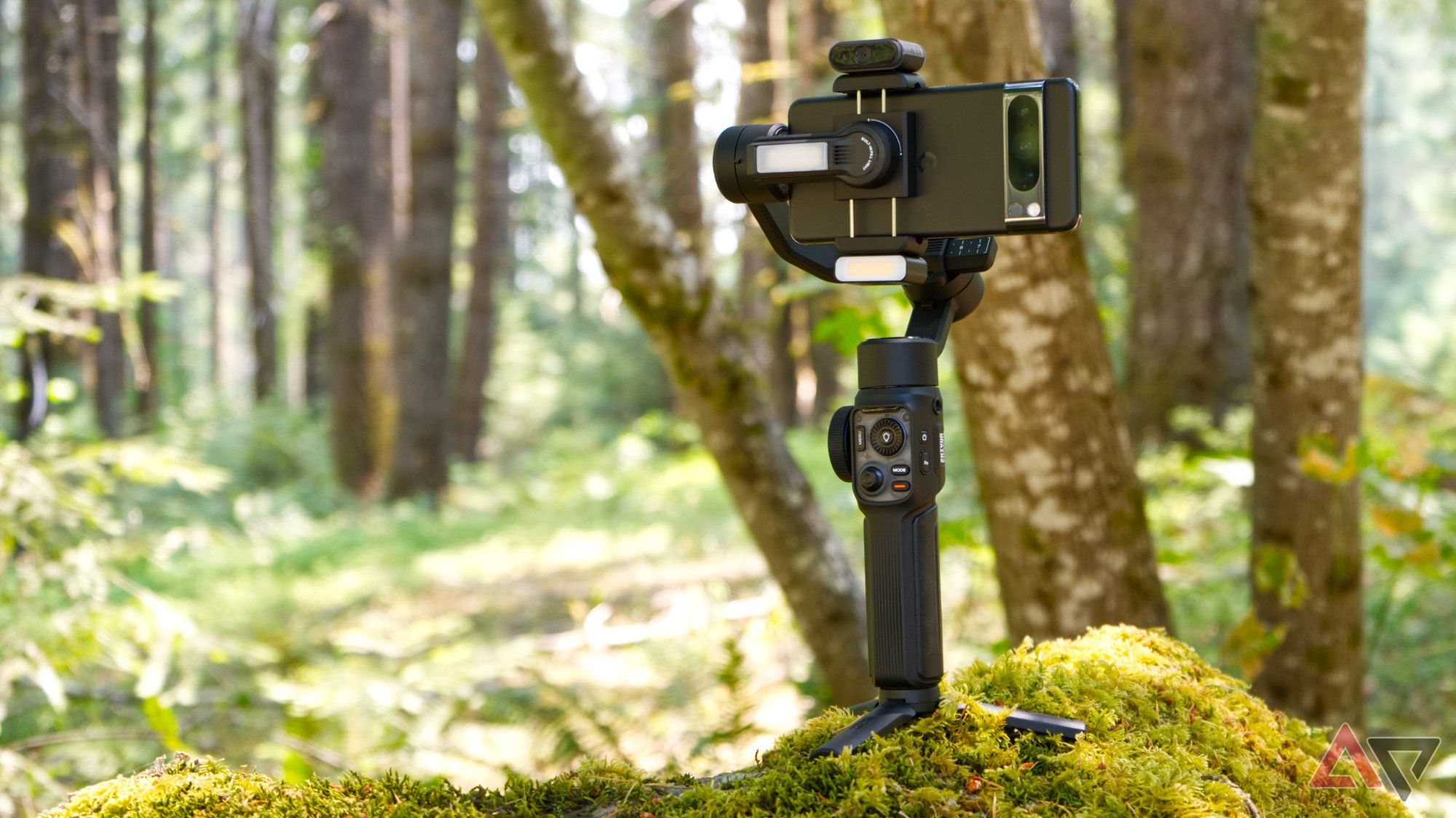 Gimbal Zhiyun Smooth 5S AI em pé sobre uma pedra coberta de musgo na floresta