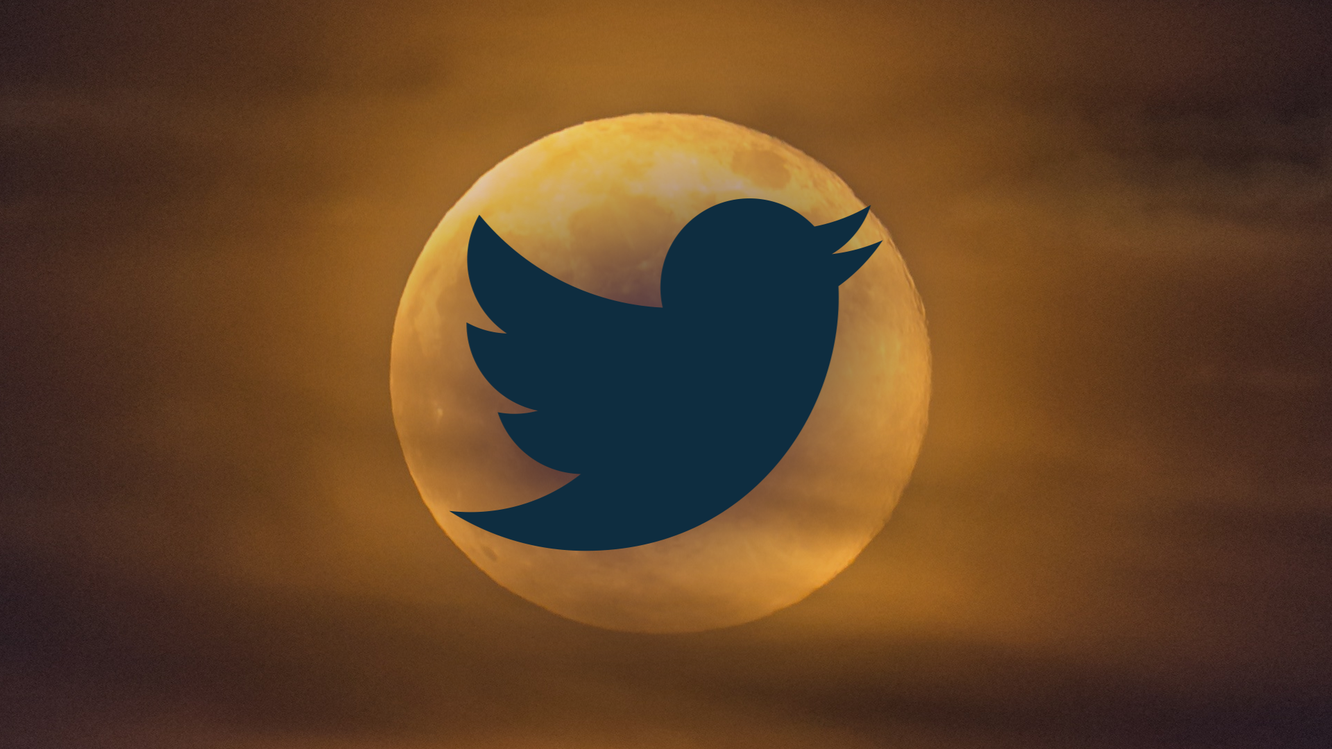 O antigo logotipo do Twitter contra um fundo marrom simulando o pôr do sol