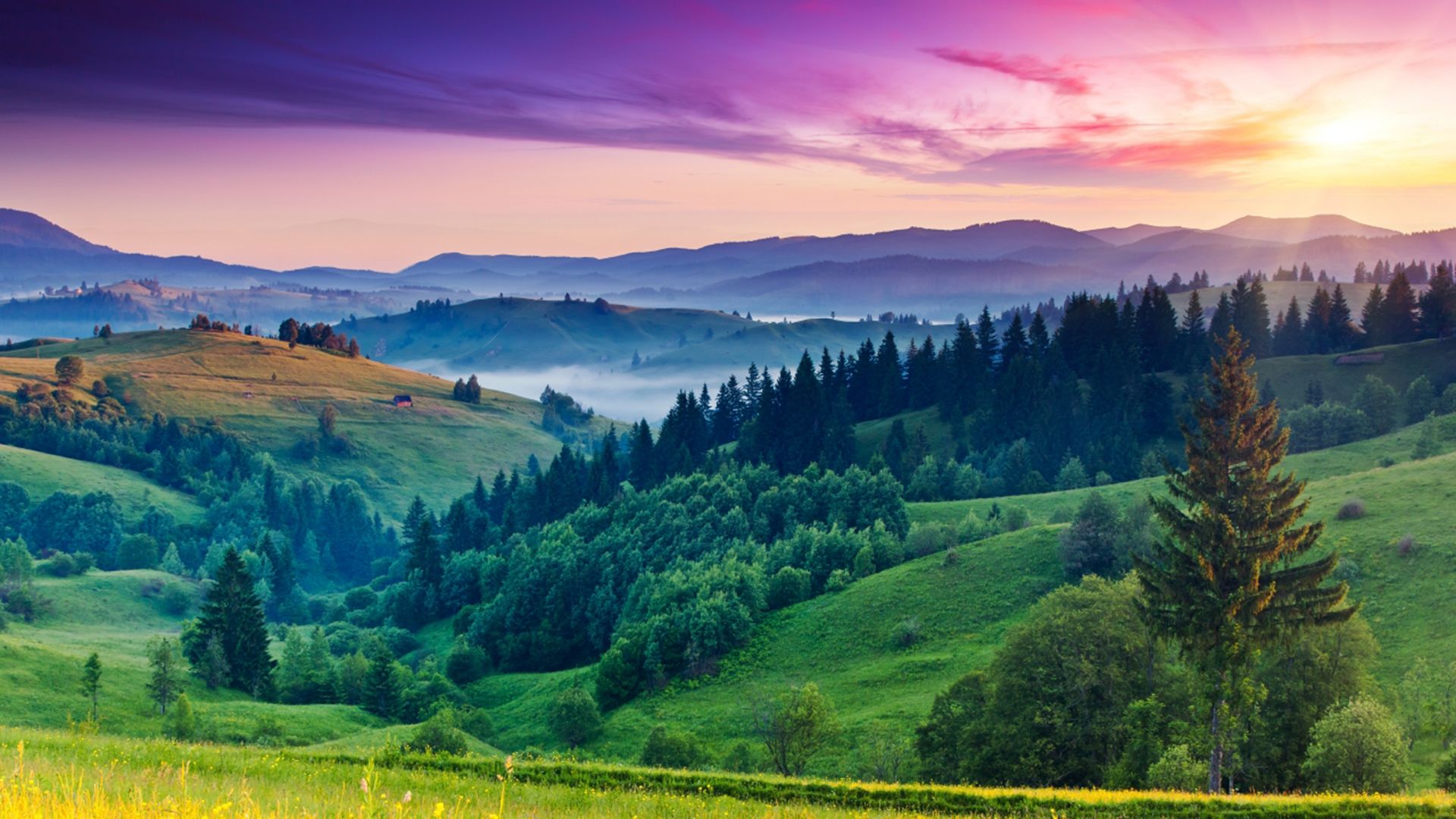 Navegador Google Chrome com o tema 'Beleza' aplicado, apresentando uma paisagem vibrante com colinas verdes, florestas densas e um pôr do sol deslumbrante lançando tons coloridos no céu.