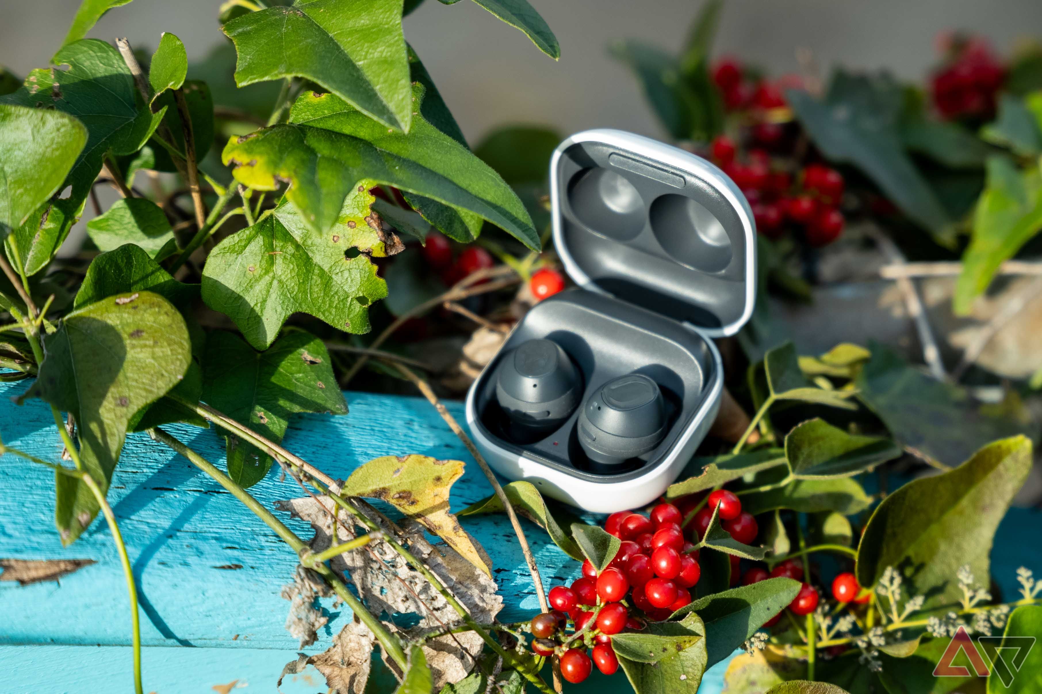 O Samsung Galaxy Buds FE na caixa aberta, rodeado por vinhas e frutas vermelhas