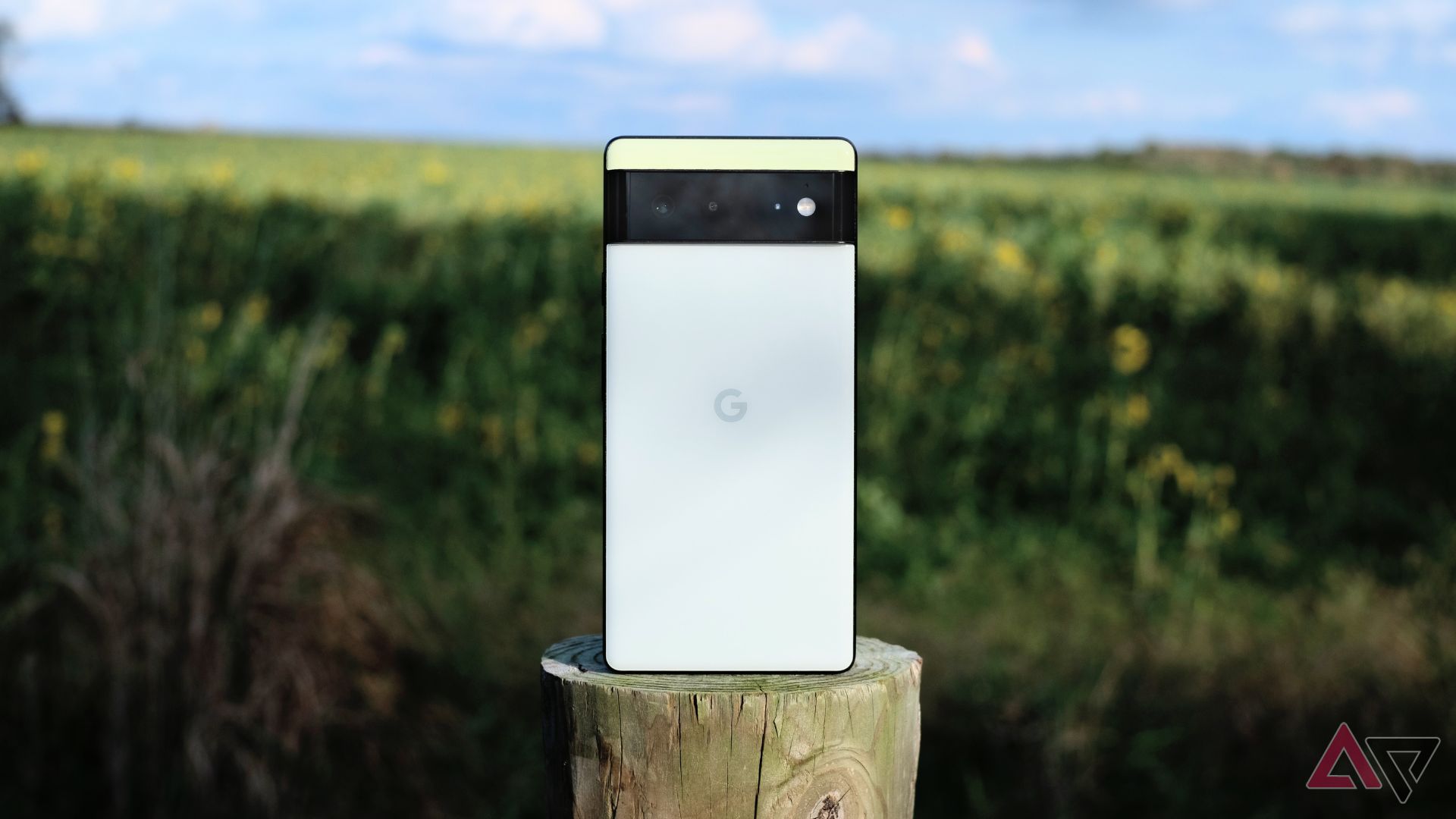 O Google Pixel 6 sentado em um poste em frente a um campo