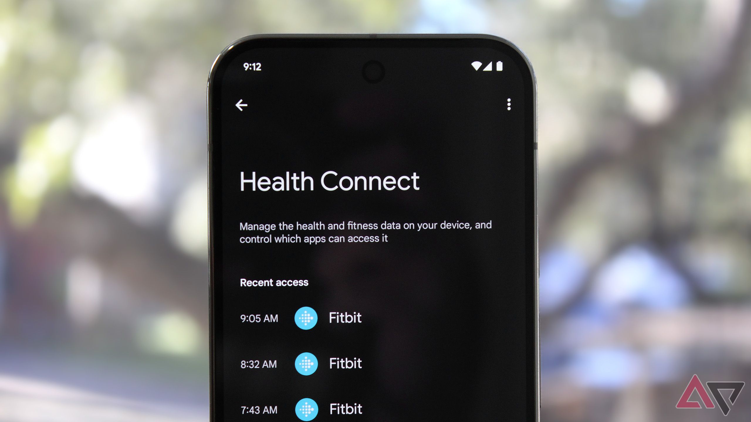 Uma foto do menu Health Connect do Google Pixel 9 Pro com árvores desfocadas ao fundo.