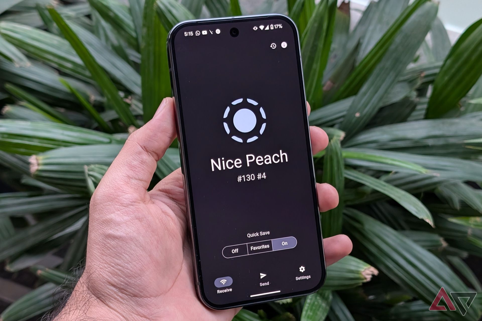 LocalSend rodando no Pixel 9 Pro em frente a plantas verdes