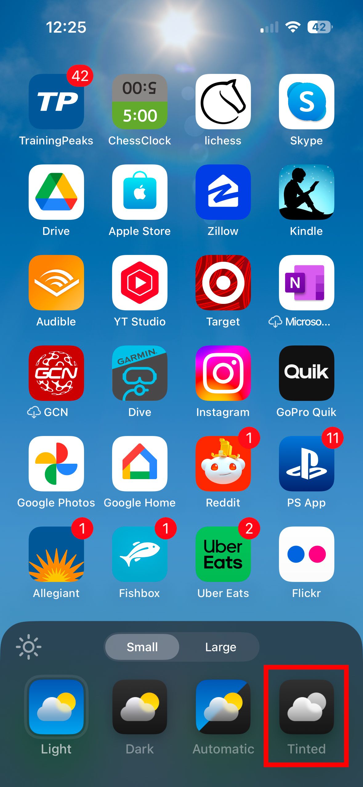 Uma captura de tela da tela inicial do iPhone com o menu de edição do ícone do aplicativo e uma caixa vermelha ao redor do botão Colorido.