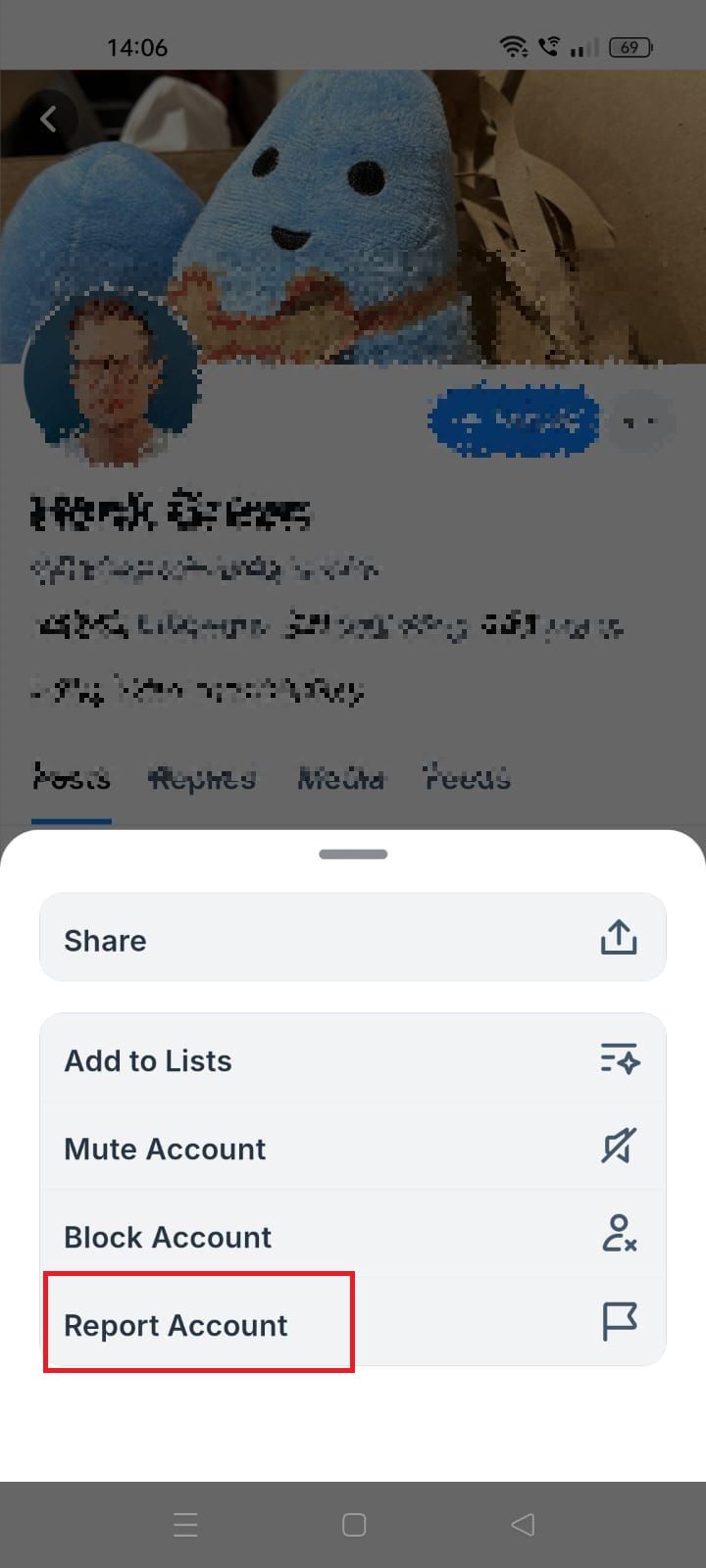 Captura de tela destacando conta de relatório no aplicativo Bluesky