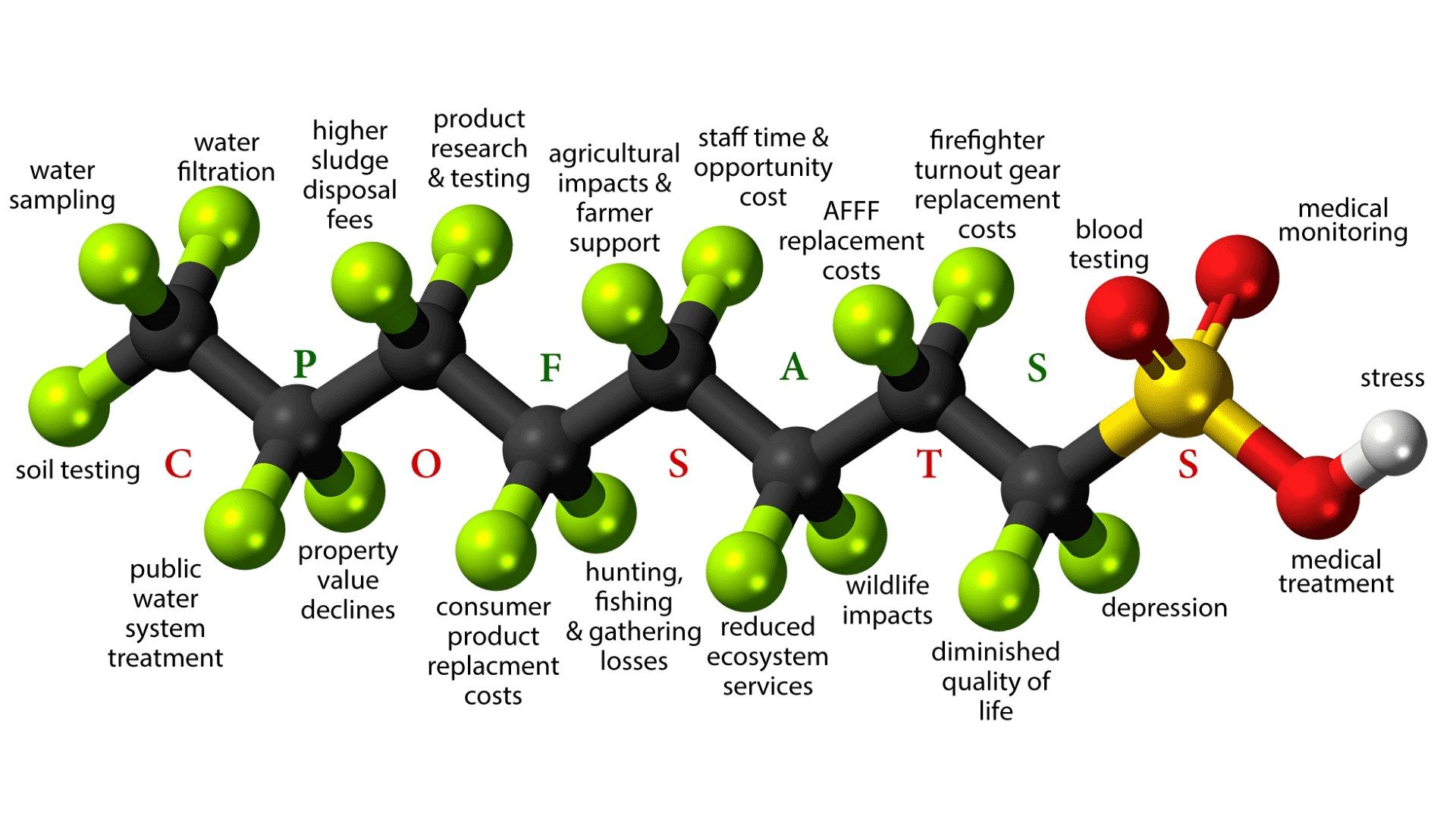 Uma ilustração de um exemplo de estrutura PFAS, sobreposta a potenciais efeitos ambientais e biológicos