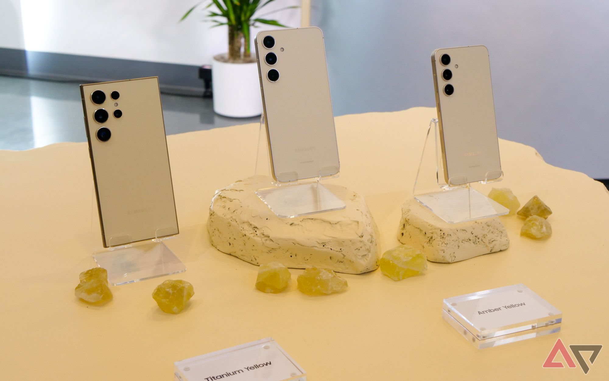 Todos os três modelos Galaxy S24 em âmbar ou amarelo titânio sobre uma mesa amarela com pedras.