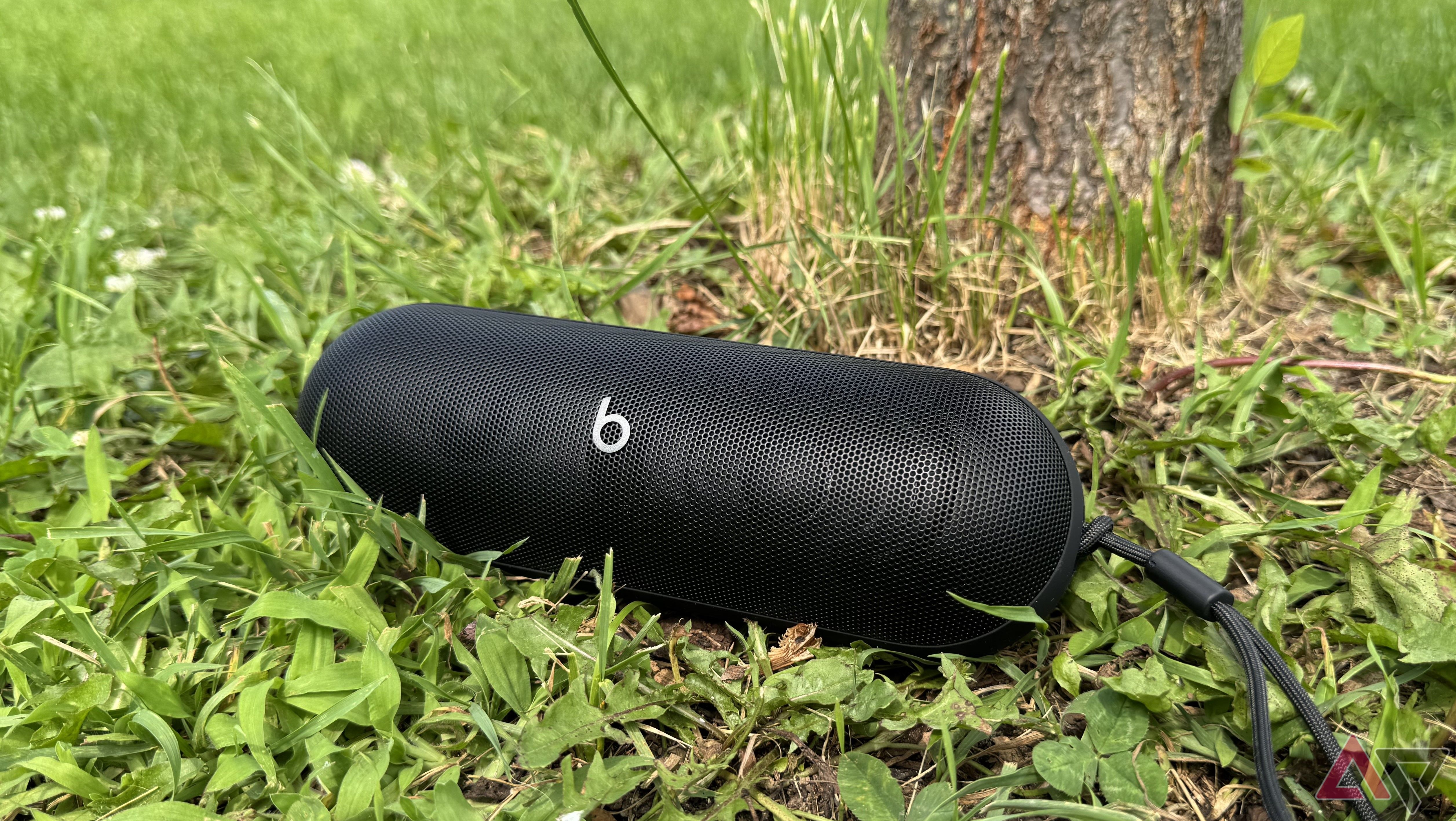 Uma Beats Pill preta (2024) sentada na grama verde ao lado de uma árvore.